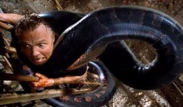 美女吃瓜变成怪兽,揭秘神秘异变背后的惊人真相