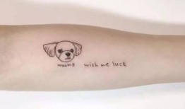 纹身吃瓜博主,揭秘纹身背后的故事与潮流趋势