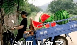 吃瓜看吵架文案,一场吃瓜群众的激情辩论