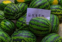 大学课堂里吃瓜