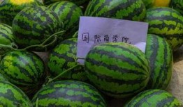 大学课堂里吃瓜