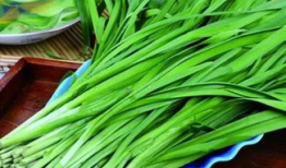 韭菜乳瓜怎么吃,营养美味两不误