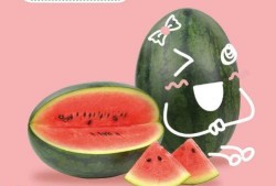 什么是朋友吃瓜,友谊新风尚