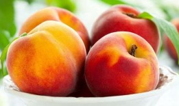 吃瓜种桃,揭秘农业新风尚与休闲农业的融合之道