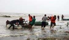 南通渔民吃瓜,瓜果飘香话渔村