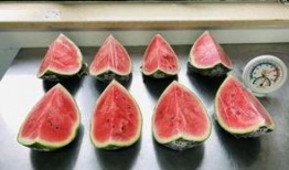 隔夜吃瓜检测,揭秘食品安全背后的秘密