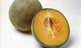 夸克吃瓜教程,解锁高效信息获取新技能