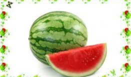 带你吃瓜教科,带你领略“吃瓜”文化的魅力与内涵