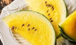 吃瓜红蓝菌,探寻神秘生物的奥秘与魅力