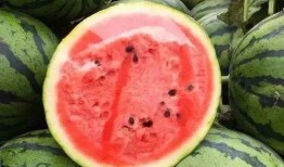 可以直接吃的瓜叫什么瓜,可直接食用的美味瓜类大盘点