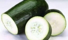 喵喵上树吃瓜吃瓜吃瓜