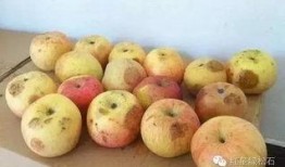 吃瓜后头晕呕吐原因,原因及预防措施