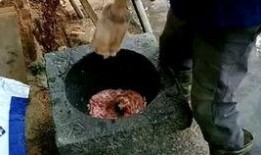 小伙上山摘瓜吃西瓜,小伙上山摘瓜，意外收获甜蜜西瓜