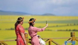 青海吃瓜回族,吃瓜也能尝出独特风味