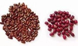 台湾红豆妹吃瓜,趣味互动引网友热议