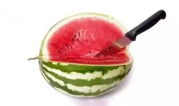 吃更高级的瓜,解锁夏日美食新境界