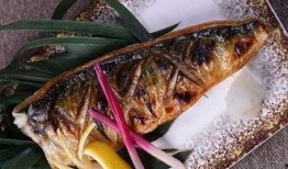 青花鱼吃瓜,一场别开生面的海洋盛宴