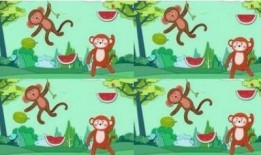 呱呱吃瓜故事教案中班,呱呱吃瓜故事解析与教学实践