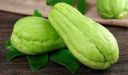 吃瓜食种,揭秘夏日消暑美食的奥秘