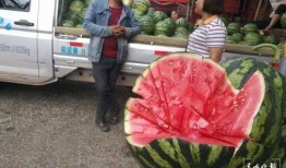 乌鲁木齐疫情吃瓜群众,吃瓜群众的视角解读与热议