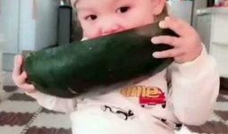 儿童吃瓜啦视频,趣味互动，快乐成长瞬间