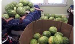 吃更高级的瓜,解锁夏日美食新境界