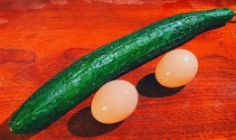 瓜鸡蛋在哪里吃,揭秘各地特色美食餐厅