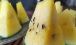 七冉吃瓜密码,揭秘娱乐圈背后的秘密与真相