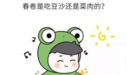 吃瓜小熊择偶标准,寻找灵魂伴侣的甜蜜法则