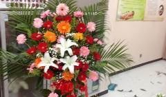 唐山花店吃瓜下载,吃瓜下载背后的故事与启示