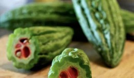 吃瓜盆,夏日消暑神器背后的故事