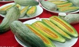 吃酥瓜的季节,尽享清凉美味时光