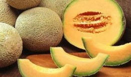 打了狂犬吃哈密瓜,一场意外的味蕾冒险