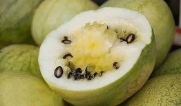 吃籽瓜的周记,我与籽瓜的甜蜜邂逅