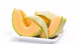 马帮吃哈密瓜的视频,哈密瓜之旅