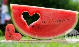 在哪里能免费吃瓜,畅享夏日清凉新体验