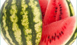 天天吃瓜今日吃瓜,今日瓜果盛宴