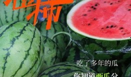 这是为什么 吃瓜