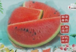 健康之路巧吃瓜,健康生活——巧吃瓜果，解锁健康之路