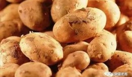 七冉吃瓜密码,揭秘娱乐圈背后的秘密与真相