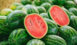 本溪吃瓜,揭秘当地特色美食背后的故事