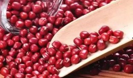 台湾红豆妹吃瓜,趣味互动引网友热议