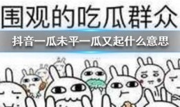 南王吃瓜抖音,揭秘抖音热门事件背后的真相