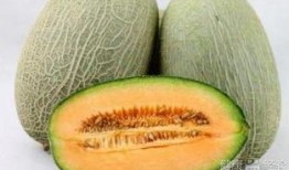 吃亿口哈密瓜,尽享甜蜜滋味，探寻瓜果传奇