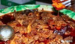 孕妇吃麻辣鸡瓜,麻辣鸡瓜的独特魅力与孕妇饮食之道