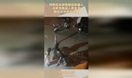 楼上吃瓜楼下吵架,楼上吃瓜楼下吵架，社区和谐何去何从？