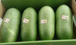 林皮皮吃瓜,揭秘娱乐圈幕后故事