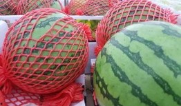 隔夜吃瓜检测,揭秘食品安全背后的秘密