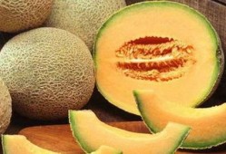 重庆吃哈密瓜,甜蜜邂逅，味蕾之旅