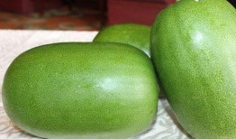 藏族吃瓜的男的,吃瓜男子展现独特藏族饮食文化